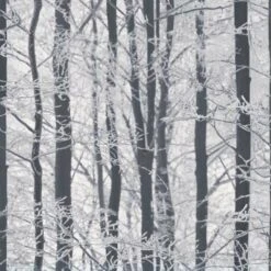 ARTHOUSE Woodland Wallpaper Trees Winter Forest Glitter Sparkle White Grey Black Silver
